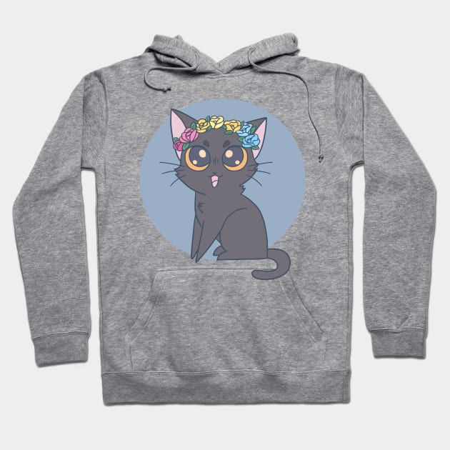 Subtle Pan Pride Cat Hoodie by Galaxcatconcepts 